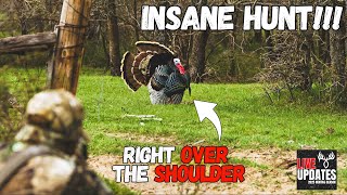 The BEST Turkey Hunt of MY LIFE! Picture Perfect Killshot!