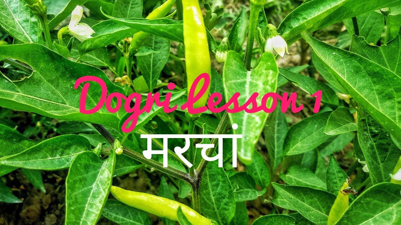 Dogri Lesson 1 