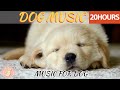 20 hours of deep sleep dog musicseparation anxiety music for dogdog relaxing musichealingmate