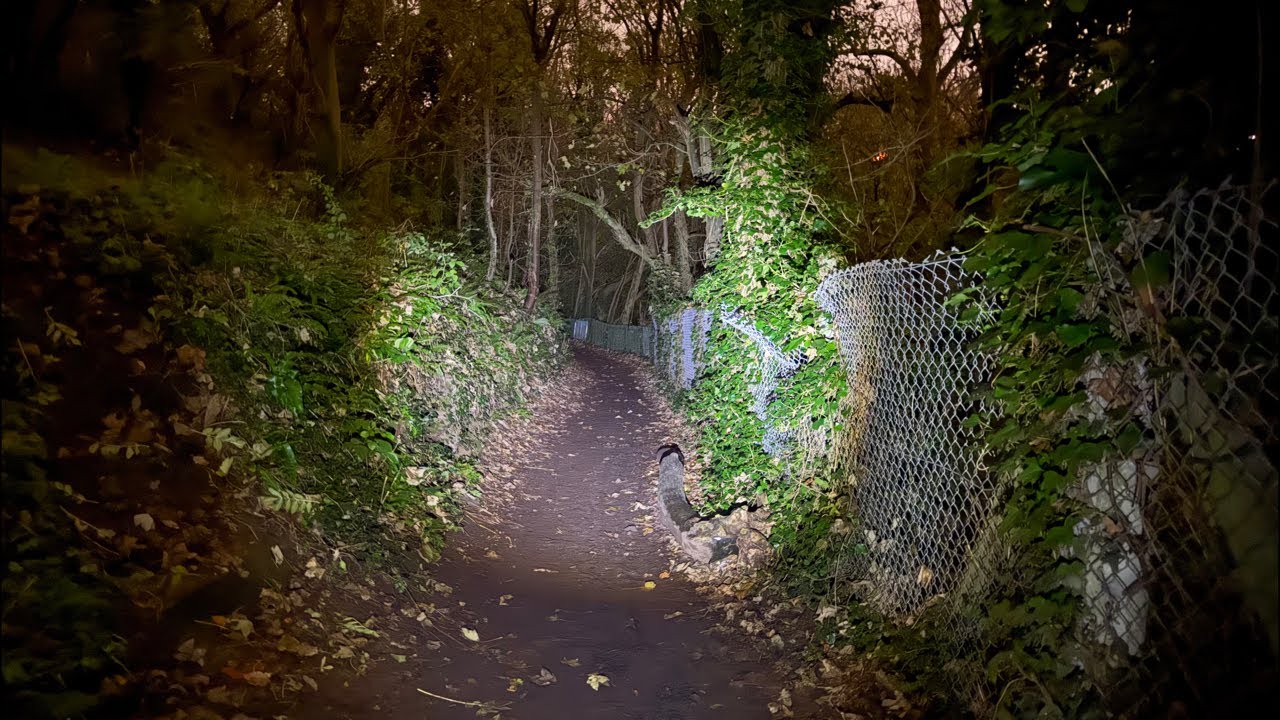 Live and Alone in Haunted Hotspot 