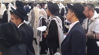 Prayers for Fast of Tammuz at Western Wall  Crowds gathered in Kotel plaza since night for prayers a