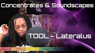 Stoned Chakra Reacts!!! TOOL - Lateralus