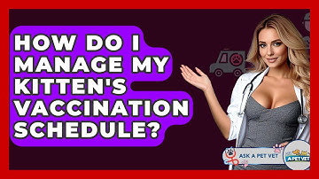 How Do I Manage My Kitten