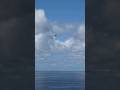Nice Catch! Aerobatic RC Glider Torrey Pines Gliderport San Diego, California