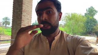 Jutt farming Layyah #pakistan panjab jutt farming 👍👍
