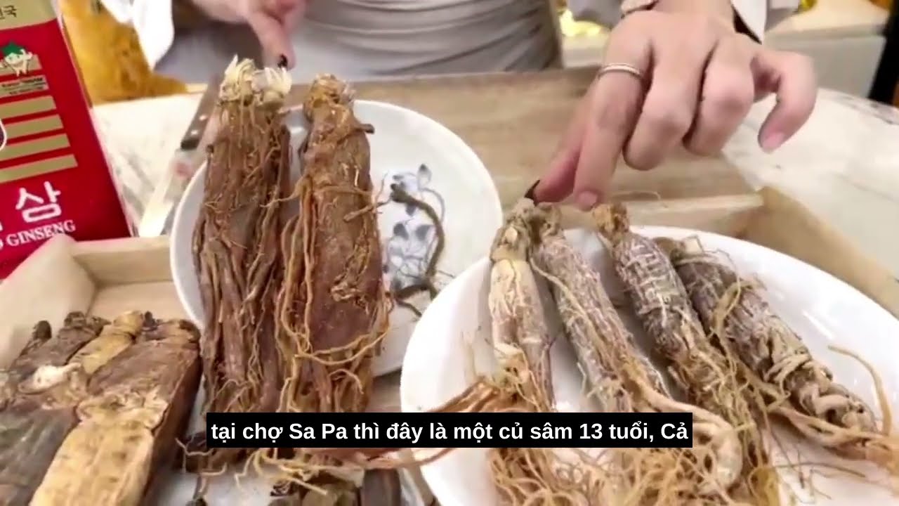 Sâm Tươi Trung Quốc Nguồn Gốc Và Lợi Ích Để Khám Phá