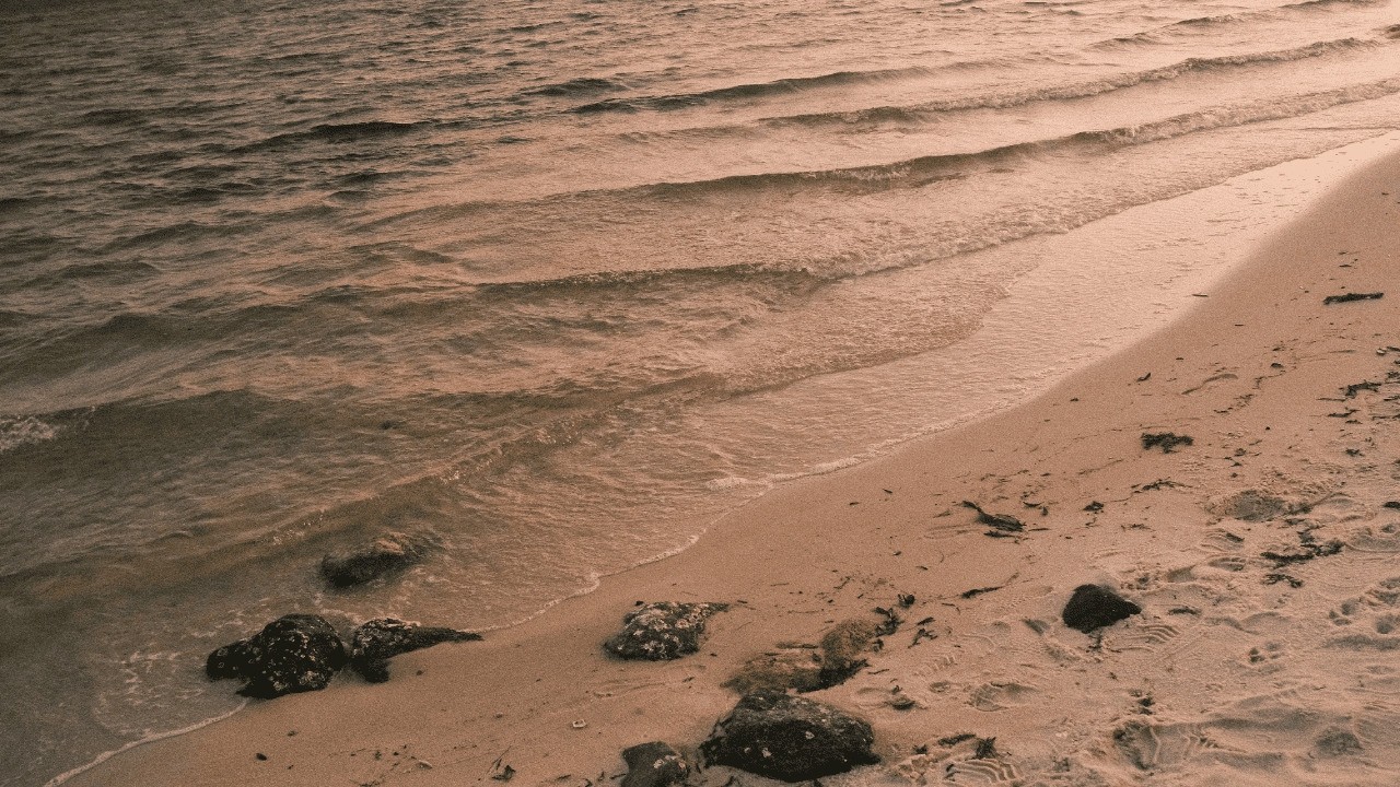 Gentle Ocean Waves Sounds | Calming Sound for Sleep, Focus & Meditation | 10 Hours