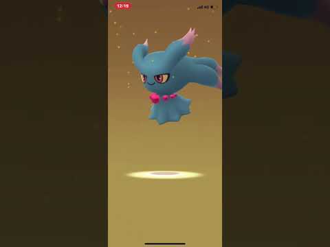 ポケモンGO 卵割り 2019/04