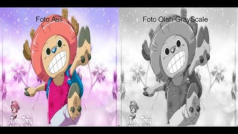 Tutorial  Pengolahan Citra / Filter Image Pada Program P5.js