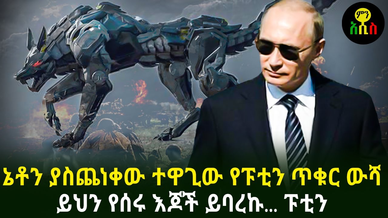 ኔቶን ያስጨነቀው ተዋጊው የፑቲን ጥቁር ውሻ  | ‹‹ይህን የሰሩ እጆች ይባረኩ›› ፑቲን