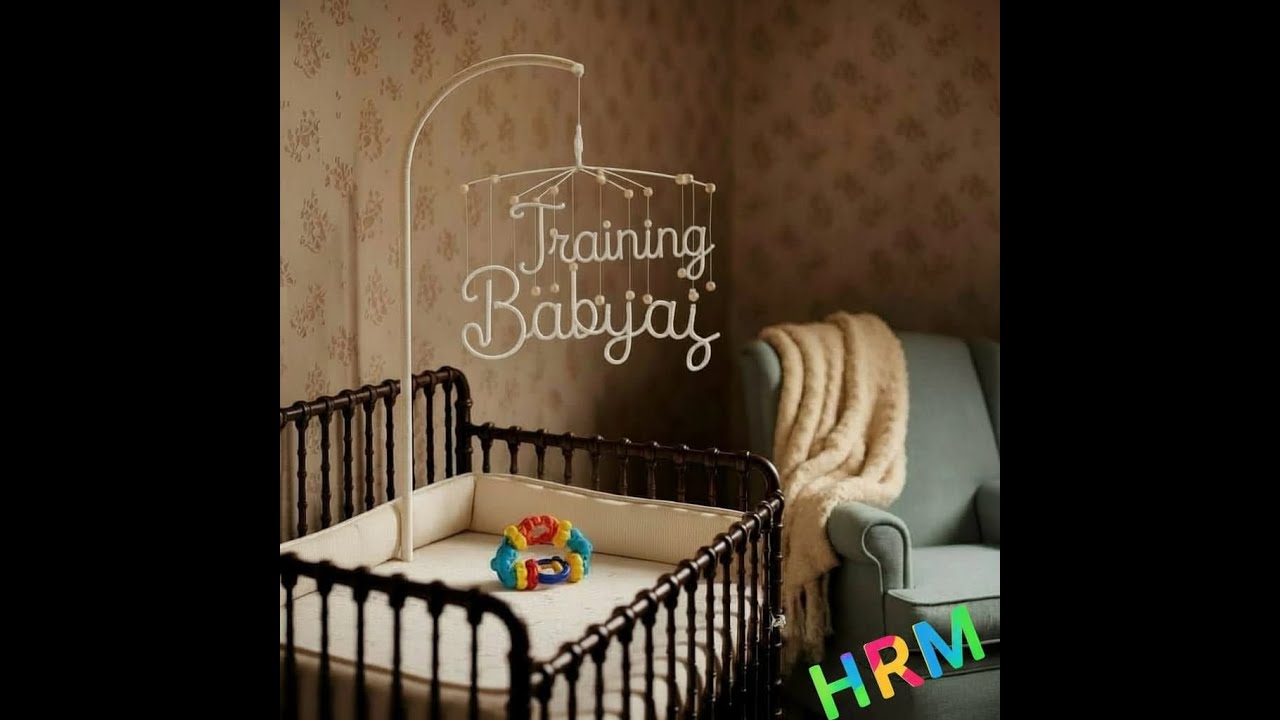 Visualizing Hierarchical Reasoning Model training on a BabyAI task