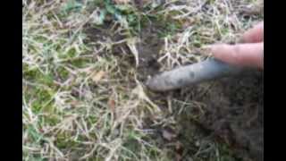 Barber Half - Metal Detecting - ACE 350 Garret - Great Finds in 45 Minutes -  OId PA farmhouse by Mr2SMOKER 25,509 views 11 years ago 11 minutes, 56 seconds