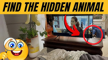 Find the Hidden Animals # 9 🐾
