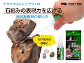 水草レイアウトの石組用の接着　～液状接着剤で石組みの表現力を広げる～