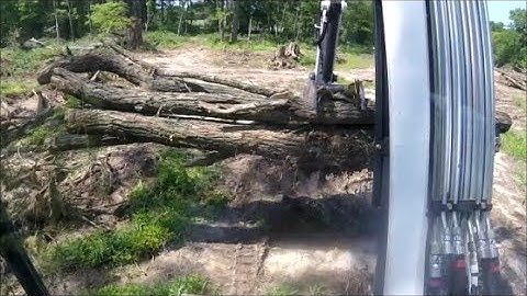 Bobcat E42 Mini Excavator Grabbing 4 large Black Locust Logs