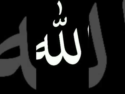 رفاعي ليا يا شيخي ليا كرمل محمد صلى الله عليه وآله وصحبه وسلم 