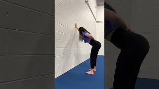 Wall Single Arm Downdog Stretch