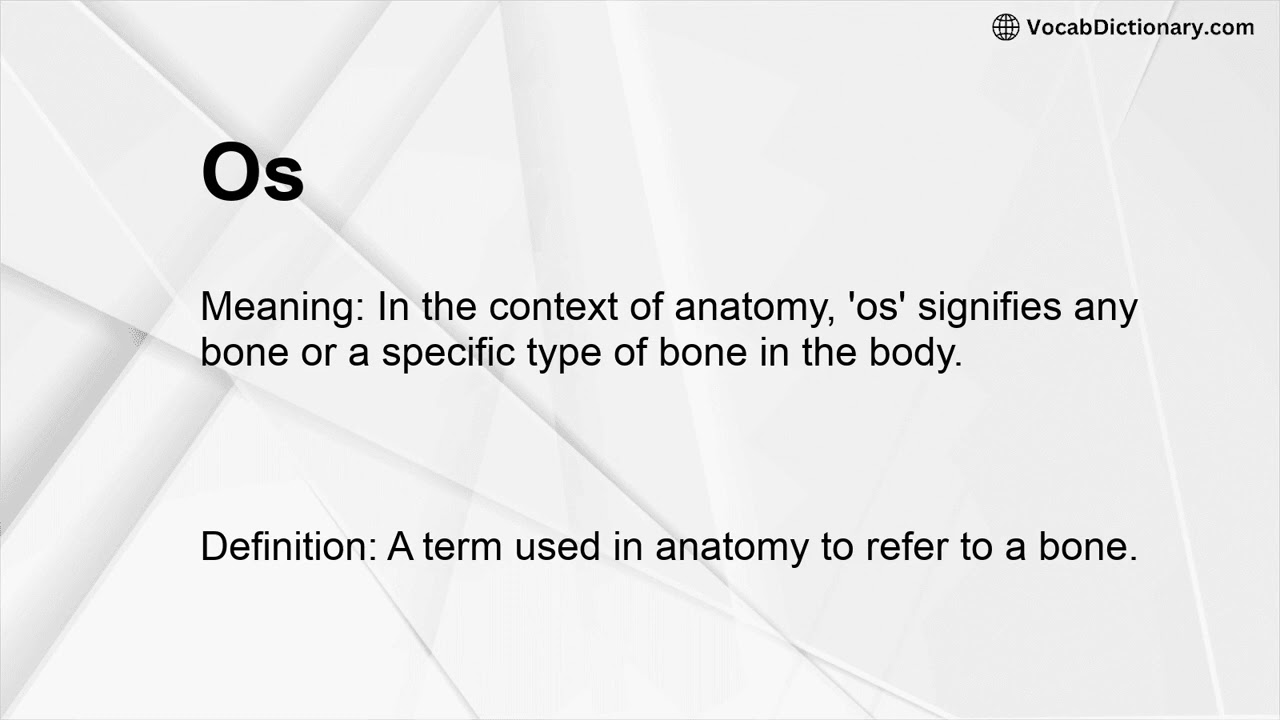 Os Meaning