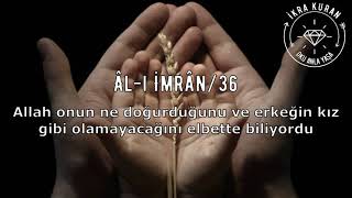 Ali İmran 33-37 Mansur el Salimi