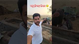 पशु हो गए बीमार 😓 #topvideo #villagevlog #farmvlog #viral #trending