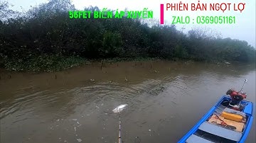 Ngày Kiếm 2 Triệu Là Có Thật Các Bác Ah. Săn Cá Trẽm Khủng Trên Sông Long AN . Mùa Cá Trẻm Về.