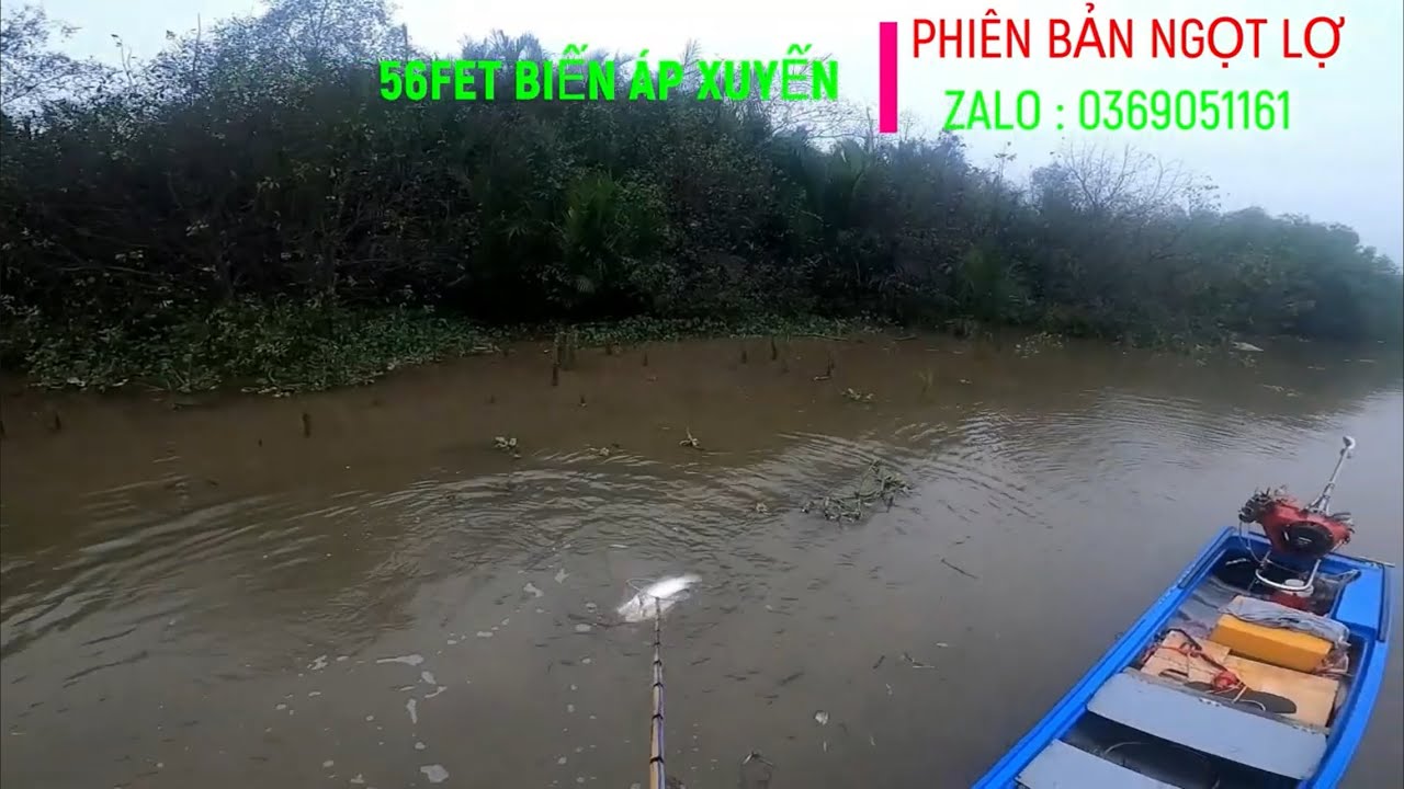 Ngày Kiếm 2 Triệu Là Có Thật Các Bác Ah. Săn Cá Trẽm Khủng Trên Sông Long AN . Mùa Cá Trẻm Về.