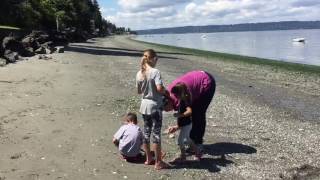 Three Tree Point Beach - Seattle, WA.