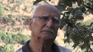 Aydında Yürekleri Sızlatan Haber 62 Yıllık Evli Çift Aynı Gün Farklı Evlerde Vefat Etti