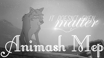 Animash MEP in the end (full)