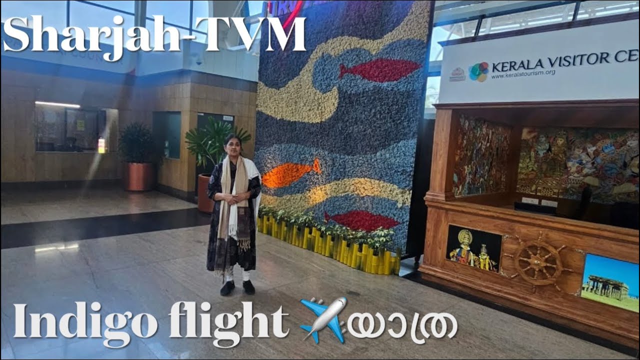 Indigo flight യാത്രയിലെ കാഴ്ചകൾ|Sharjah Airport-Thiruvananthapuram Airport യാത്ര|#NargisJayanvlogs