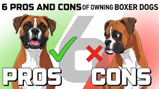 Celebrity 6 Pros and Cons of Owning Boxer Dogs🐕 Wealth