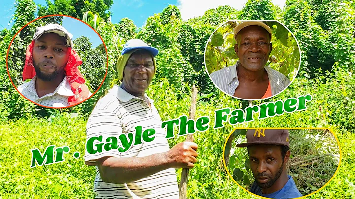 Meet Mr . Gayle from Craighead , Manchester   Who ...