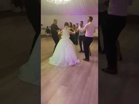 Mariana Pruteanu -  Nunta Cort Saliste