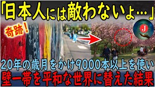 【海外の反応】日本人には敵わないよ。ベルリンの壁で割かれたカップル。そして20年の歳月をかけてベルリンの壁の跡地に9000本以上の植樹を続けた日本人。