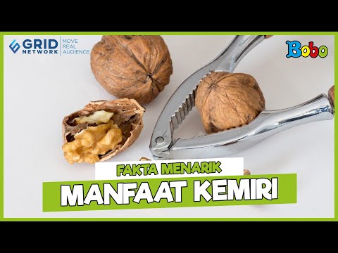 Pengganti Kemiri Dalam Masakan