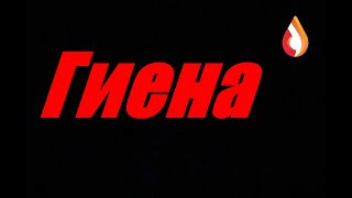 Гиена