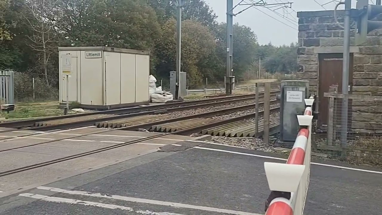 Trains at Little Mill LC & Widdrington 