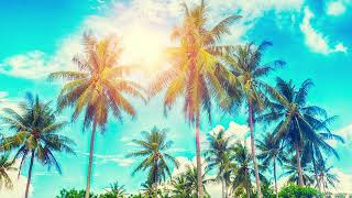 Ambient & Relaxing Music Wonderful New Age Playlist For Calming | Background Music For Relax