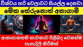 විශ්වයේ පාලකයා කවුද | මේක තේරුනොත් අනාගාමී | ආනාපානසති භාවනාව පිළිබද වෙනස්ම පැහැදිලි කිරීමක්