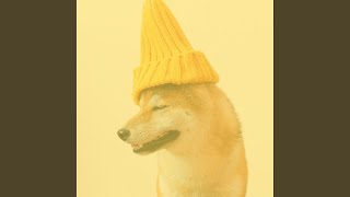 Simple Backdrops for Resting Pets