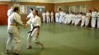 Tomiki Aikido Practise At The Shoshinkan Es Aikidodojo