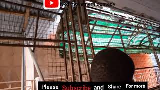 Wow-Carry-Memajesty-Fart-On-Nanatry-Not-To-Laugh