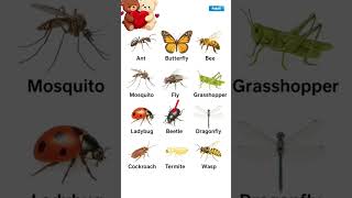 English Learning book 📚📚📚#englishvocabmastery #learnenglish #education