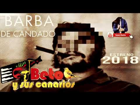 Beto y sus Canarios !   Corrido A El Barba de Candado
