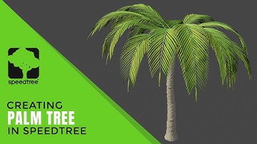 SpeedTree Cinema 9.5 Tutorial : Palm Tree