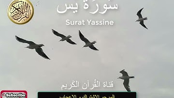 سورة يس للقارئ ياسر الدوسري قراءة خاشعة بصوت جميل