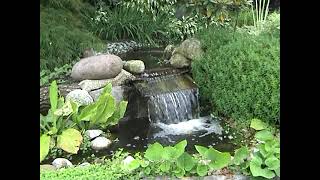 Beek Met Waterval In De Vijvertuin Van Ada Hofman