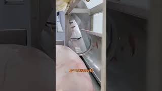 豬牛羊屠宰設備