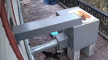 Reolink Captures: Tom and Jerry Real Life