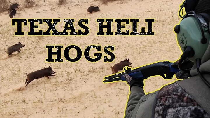 Helicopter Hog Hunting in Texas!